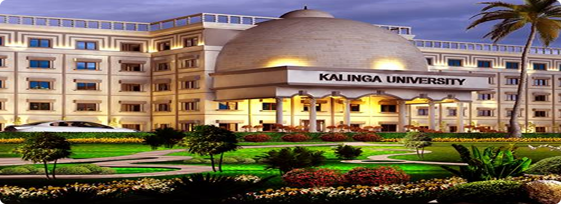 University Image
